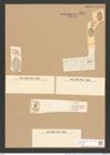 Cocconeis placentula var. lineata (Ehr.) V.H. (de-Toni-Nr.: Genus 40, Species 1844) Zeichnungen Sammlung Grunow Nr. 3654 (NHMW-BOT-W0371266)
